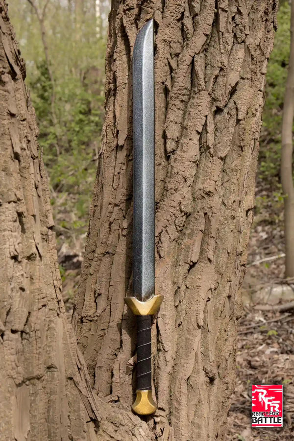 Chai LARP Sword Ready For Battle