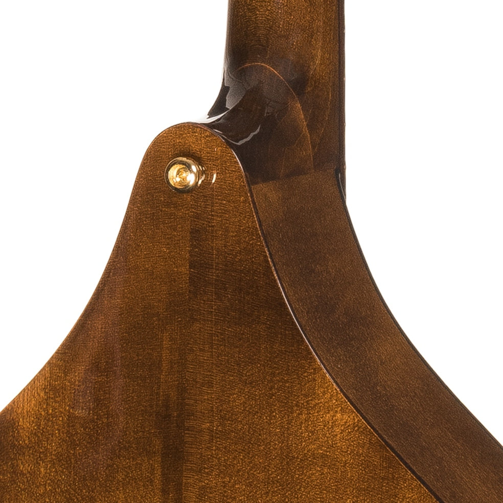 Professional Irish Bouzouki With Soft Case