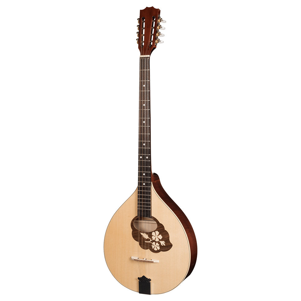 Irish Bouzouki With Soft Case