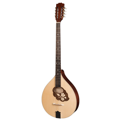 Irish Bouzouki With Soft Case