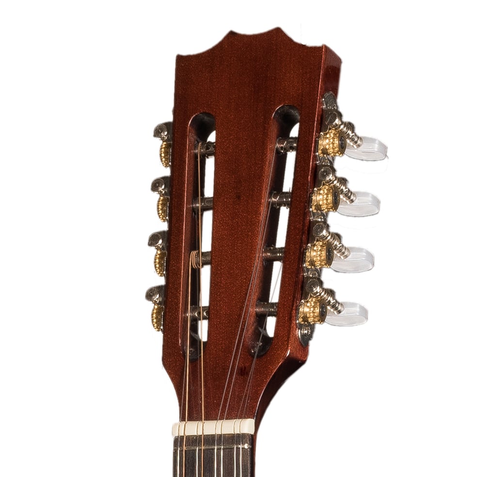 Irish Bouzouki With Soft Case