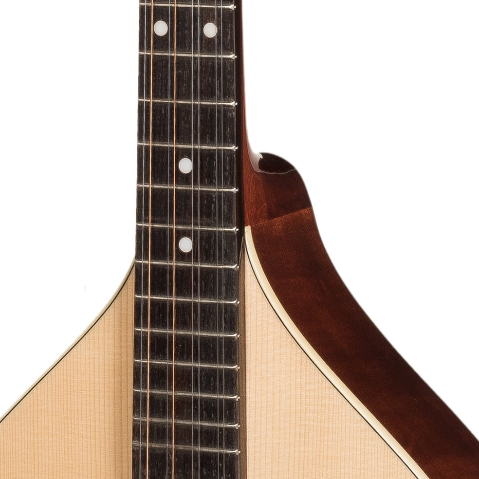 Irish Bouzouki With Soft Case