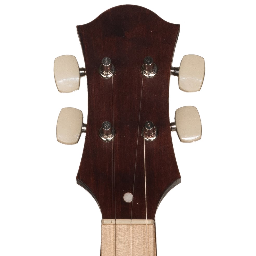 Mountain Dulcimer With Soft Case